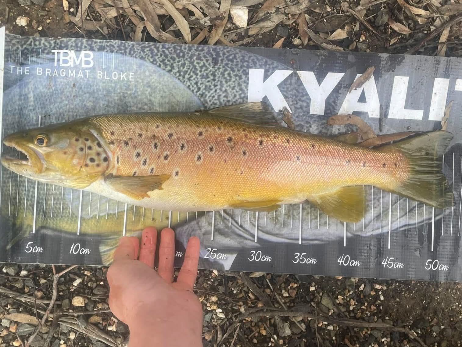 Dirty Water Browns