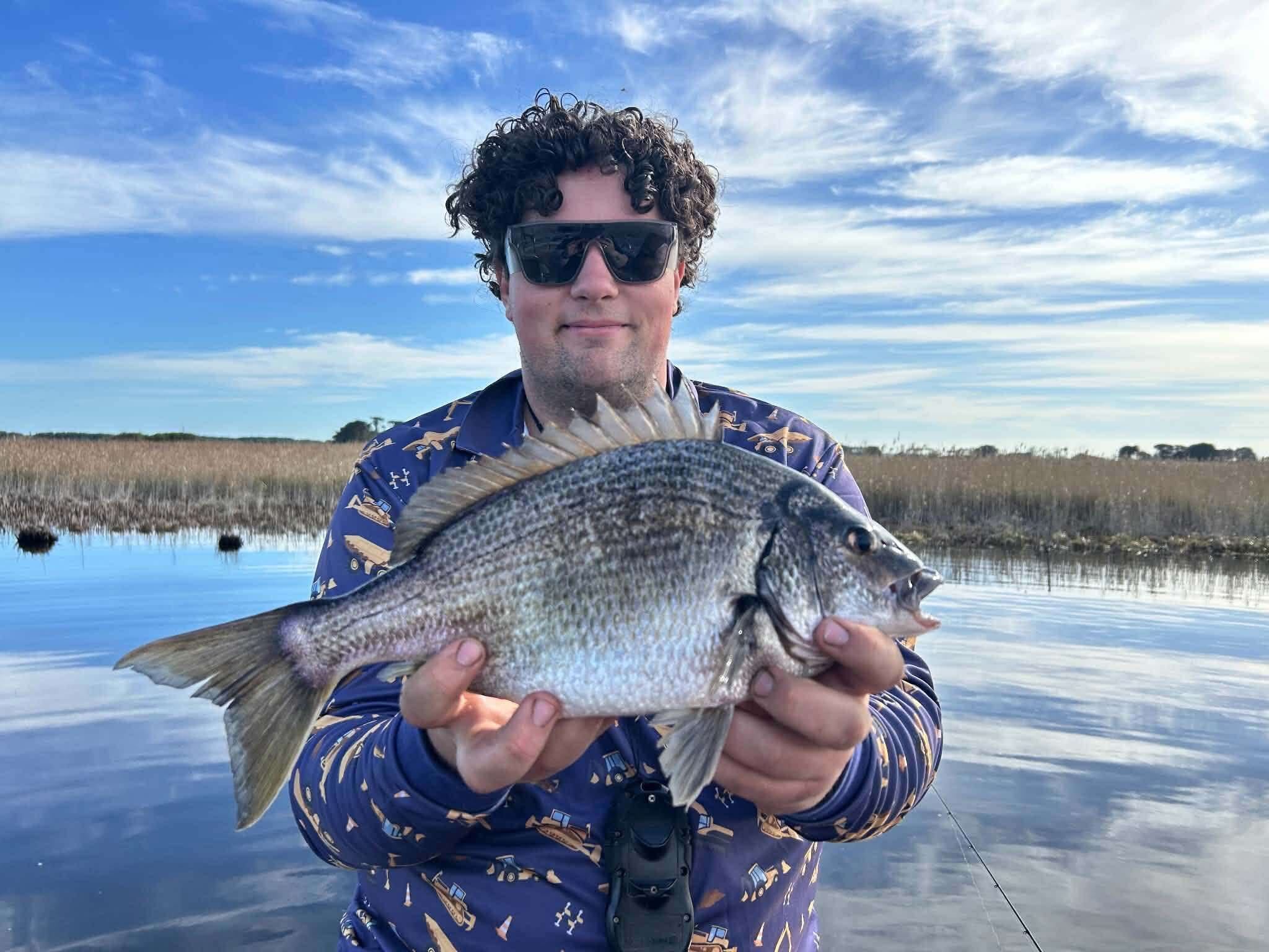 Waving Bream