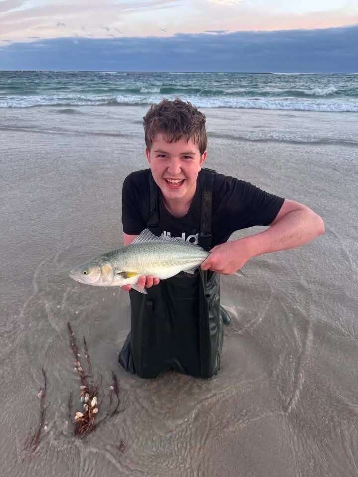 Killarney Salmon