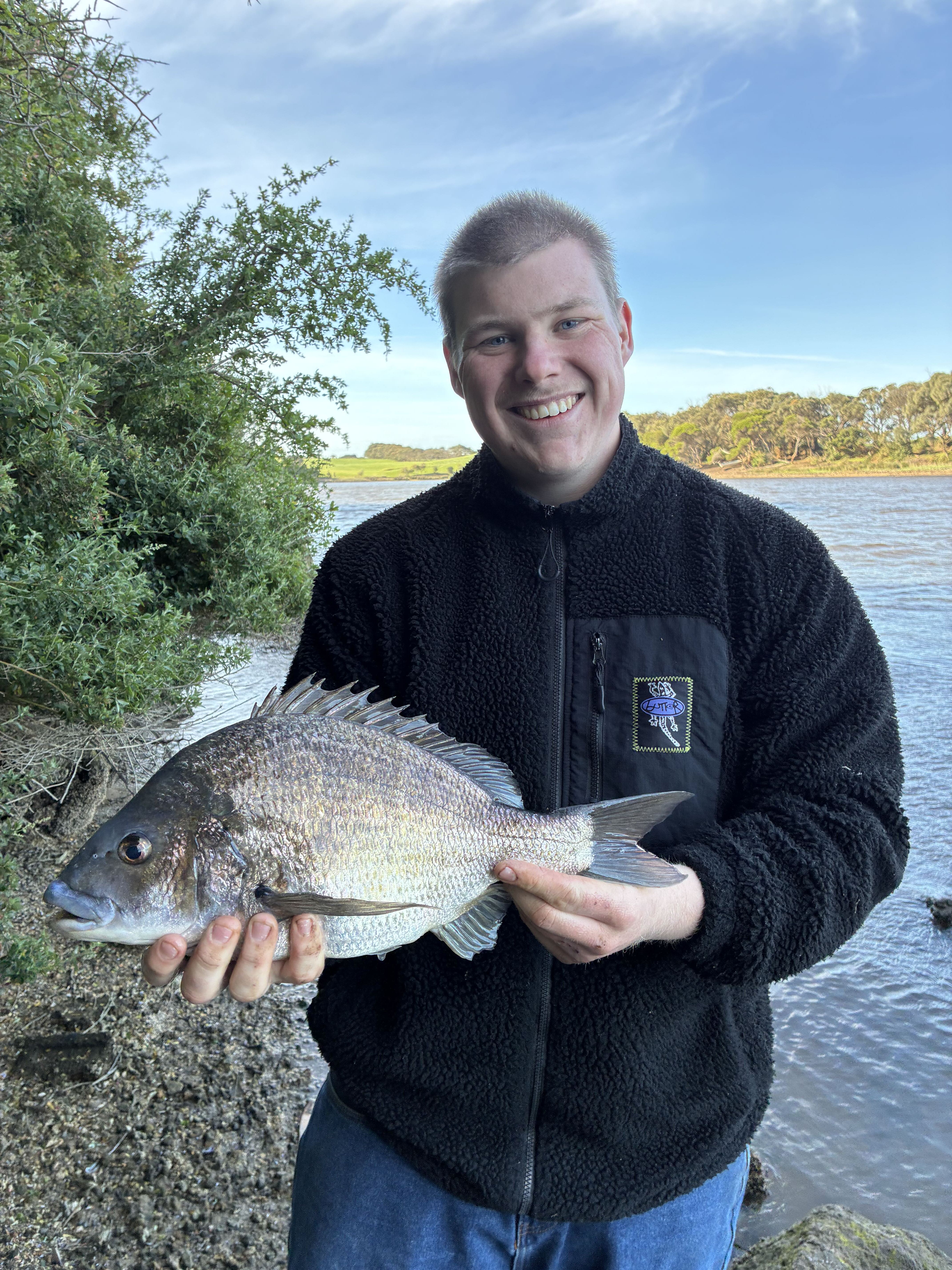 Big Bream