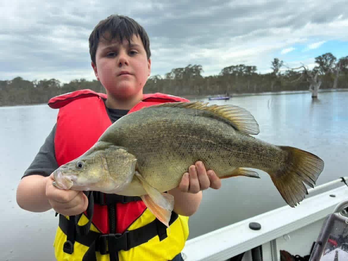 Spring Time Yellow Belly